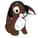 BunnyHop