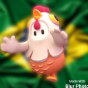 Fall Guys BRASILEIRO ðŸ¥½ Server Icon