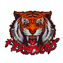 Ferocious Gaming