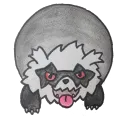 Raccoon Lexa