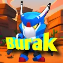 Burak's Zone