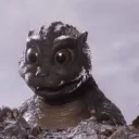 zac