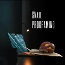 (S)Nail Programming