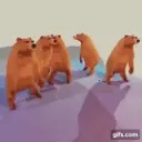 Unknown gang