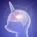 horse brain