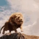 Weenies peenies Discord Server Icon