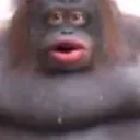 Monki's World's icon