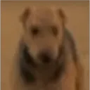 Discord Server