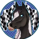 Hungarian Star Stable Racing