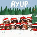 ayup