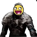 The Army Paladin
