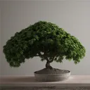 Behold, bonsai!