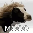 DA COWS 🥶