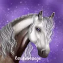 Lucida Dressage - Open Server
