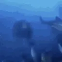 monke enjoyers