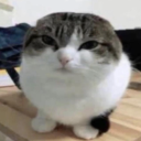 cool peopleâ„¢ Server Icon