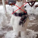 Snowbear killers