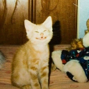 No Borders Discord server icon