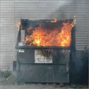 The Dumpster Fire
