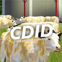 CDID Official Server icon
