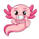 TS_Tara Community