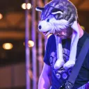 Husky by the Geek & the Wolves