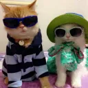 M's Bunny Gamers's icon