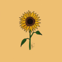 🌻~ 𝓈𝓊𝓃𝒻𝓁𝑜𝓌𝑒𝓇 ~🌻