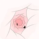 Briskly’s Smelly Anus (+18)