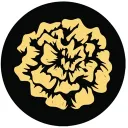 Blak Marigold