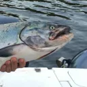 Freindly fish