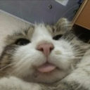 「♡Sawakas party club♡」