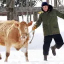 сервер для свиданок