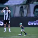 Palmeiras fiu fiu