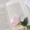 ꒷‧˚⊹ambrose book shop🌷 ‹3