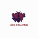 BSS Helping🐝 icon