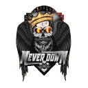 Never Down | Texas State Discord Server Icon