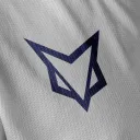 ARCFOX C.O.