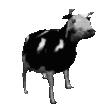 Serber Discord Server Icon