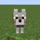 blue glue's smp