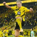 HAALAND HAALAND + MYP2