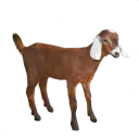 Moce Public Discord