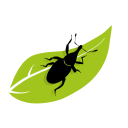Flora & Arthropods