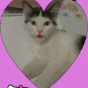 Propiedad de Morgana