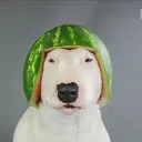 Colgecord