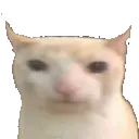 roobscord