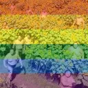 Fry Shack Discord Server Icon