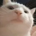 𝒔𝒖𝒎𝒔𝒖𝒎