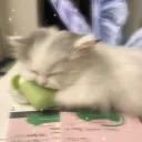 autumn’s seggsy box??