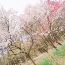 とある幸せの家族の話